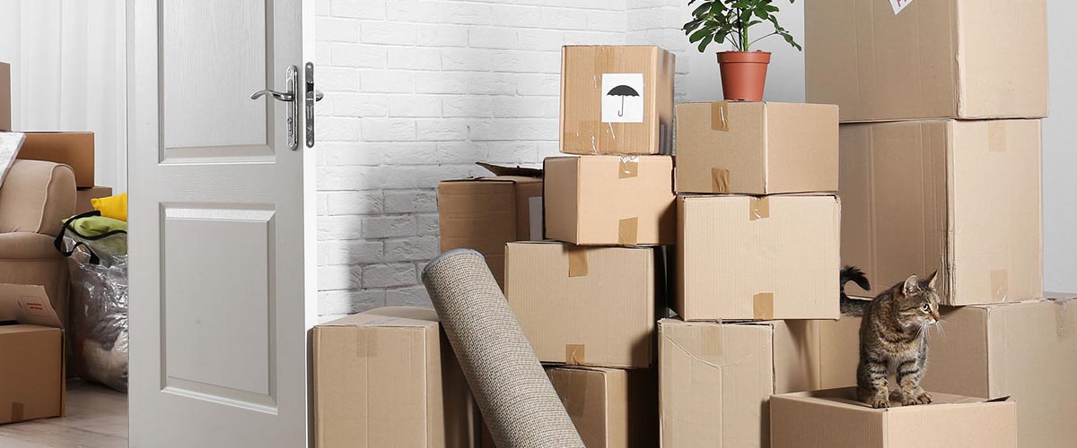 packers and movers